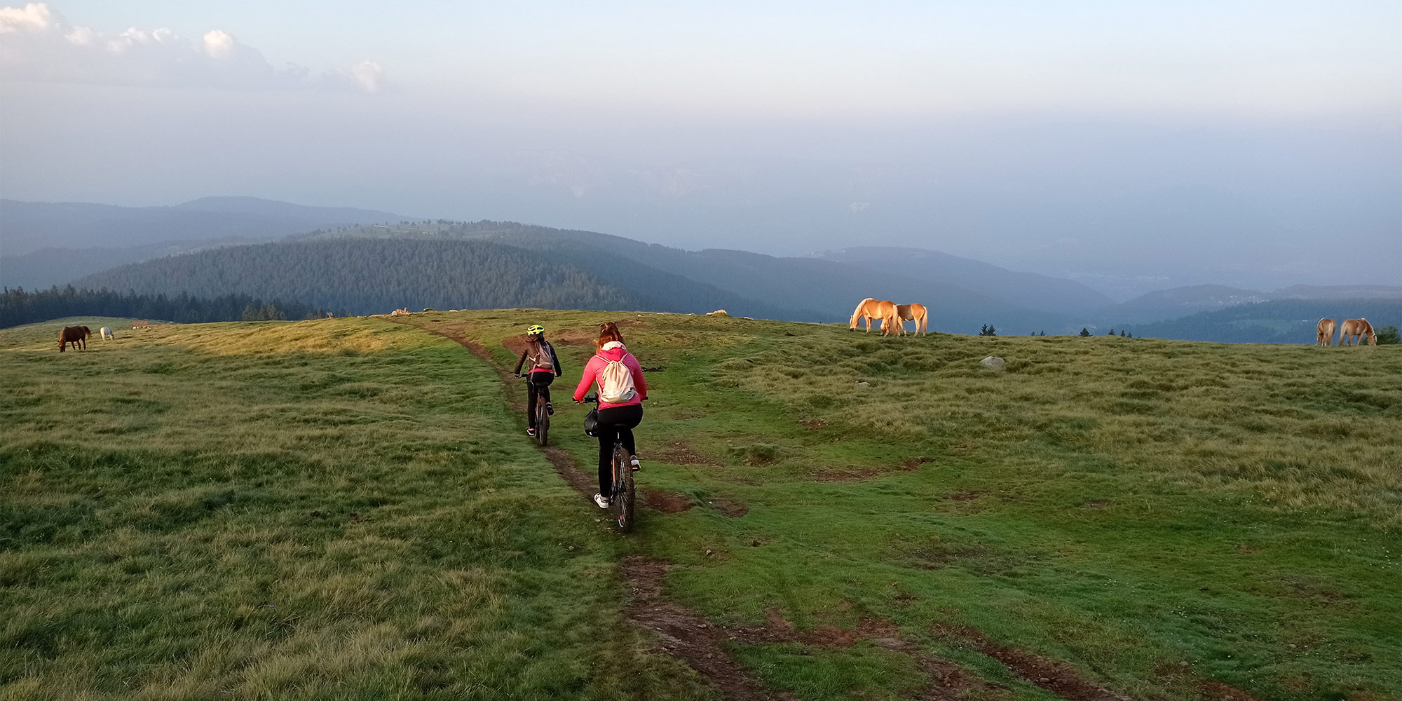Freizeitmöglichkeiten in Mölten